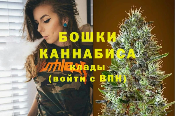 мдпв Вязьма