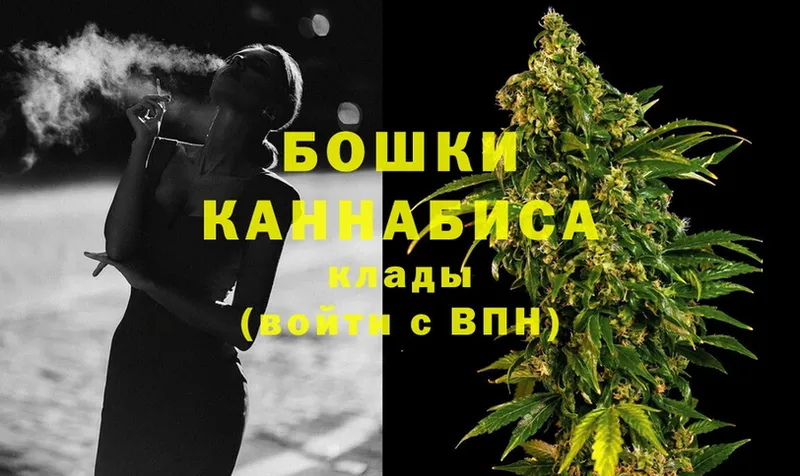 Бошки марихуана OG Kush  наркошоп  Севастополь 